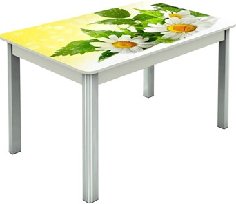 Кухонный стол раздвижной Гамбург исп.2 ноги метал. крашеные №23, Фотопечать (Цветы №3) в Кирове