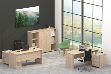 Офисный комплект мебели Twin в Кирове - предосмотр 4