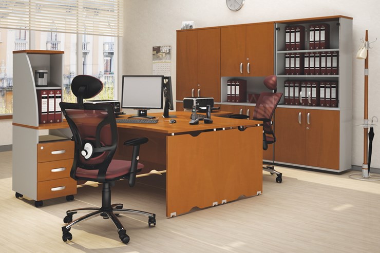 Офисный набор мебели Милан для 2 сотрудников с тумбочками и большим шкафом в Кирове - изображение